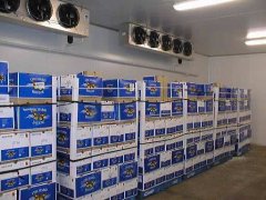 安裝一個(gè)500平方高溫冷庫(kù)大概多少錢