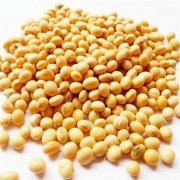 鮮黃豆冷庫(kù)設(shè)計(jì)安裝造價(jià),冷庫(kù)保鮮溫度是多少
