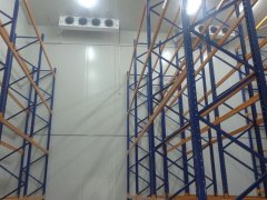 1000噸大姜冷庫安裝費用是多少錢？