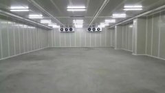 新建500噸香蕉水果氣調庫需要多少錢？