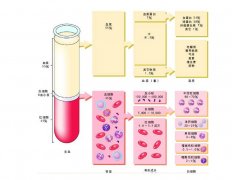 -30℃~-80℃血漿蛋白低溫冷凍庫規(guī)范,冷庫安裝價格