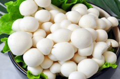 以白玉菇為例的食用菌冷庫建造技術(shù)