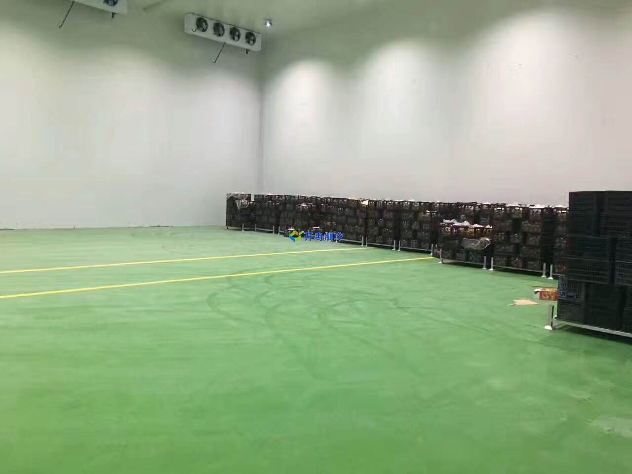 低溫冷凍庫建造價格,900平米海鮮冷凍庫造價