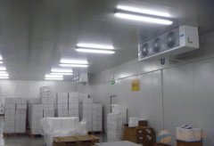 大型2-8℃試劑冷庫醫藥冷庫建設，體外診斷試劑冷庫
