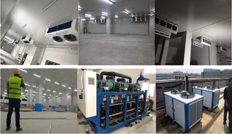 http://m.b-tu.cn/gongchenganli/shipin/1230.html