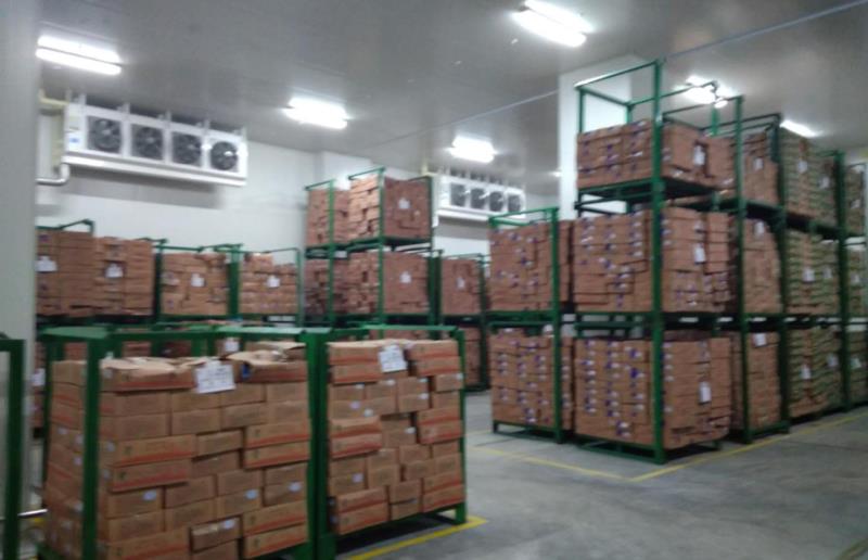 1000噸食品冷凍庫設計,制冷設備大概需要多少錢